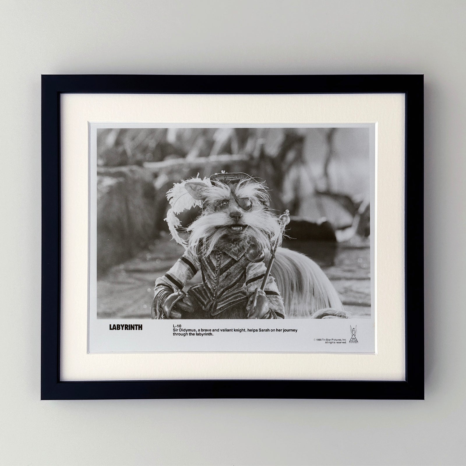 Labyrinth 1986 Publicity Film Movie Press Still Framed