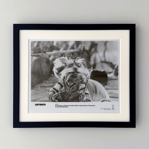 Labyrinth 1986 Publicity Film Movie Press Still Framed