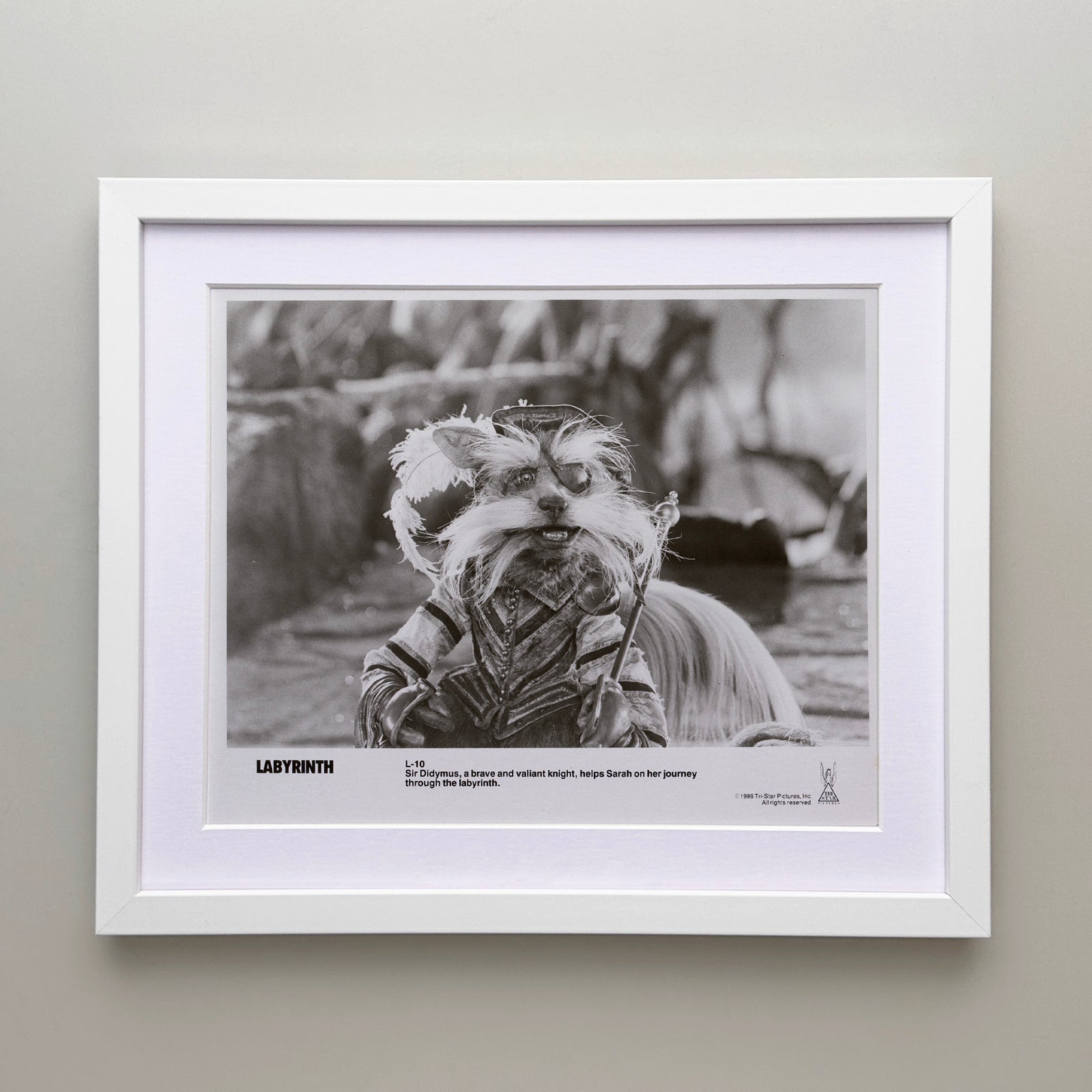 Labyrinth 1986 Publicity Film Movie Press Still Framed