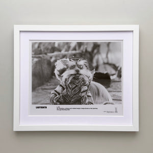 Labyrinth 1986 Publicity Film Movie Press Still Framed