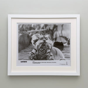 Labyrinth 1986 Publicity Film Movie Press Still Framed