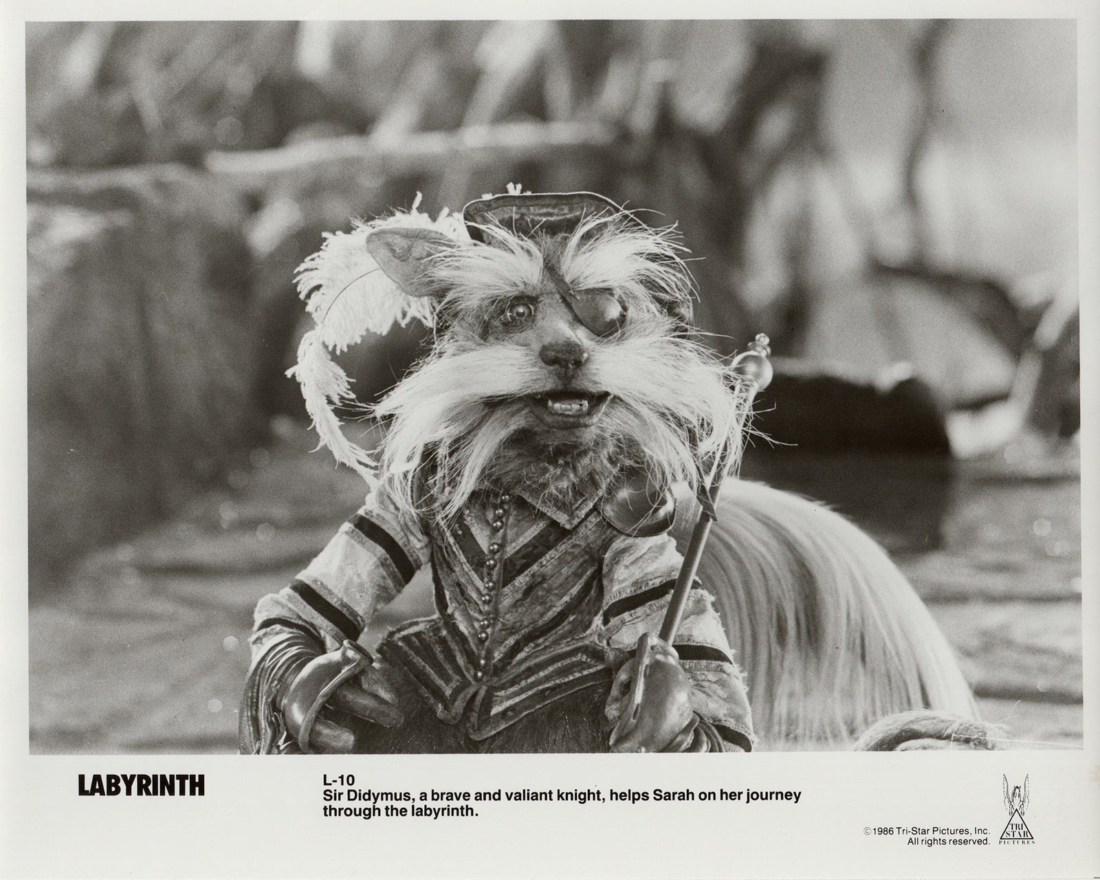 Labyrinth 1986 Publicity Film Movie Press Still Framed