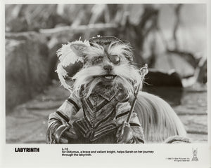 Labyrinth 1986 Publicity Film Movie Press Still Framed