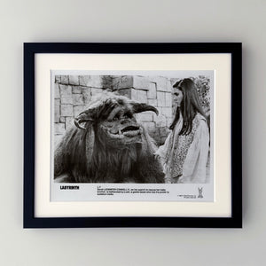 Labyrinth 1986 Publicity Film Movie Press Still Framed