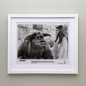 Labyrinth 1986 Publicity Film Movie Press Still Framed