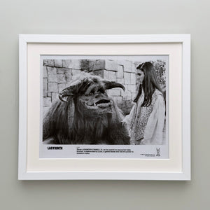 Labyrinth 1986 Publicity Film Movie Press Still Framed