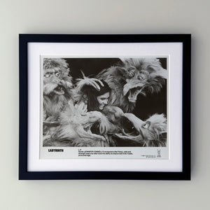 Labyrinth 1986 Publicity Film Movie Press Still Framed