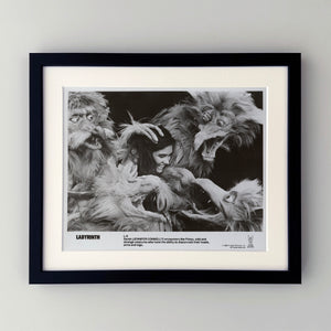 Labyrinth 1986 Publicity Film Movie Press Still Framed