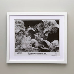 Labyrinth 1986 Publicity Film Movie Press Still Framed
