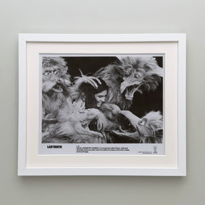 Labyrinth 1986 Publicity Film Movie Press Still Framed