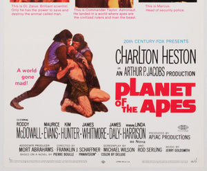 Planet of the Apes 1968 US 1 Insert Film Movie Poster - detail