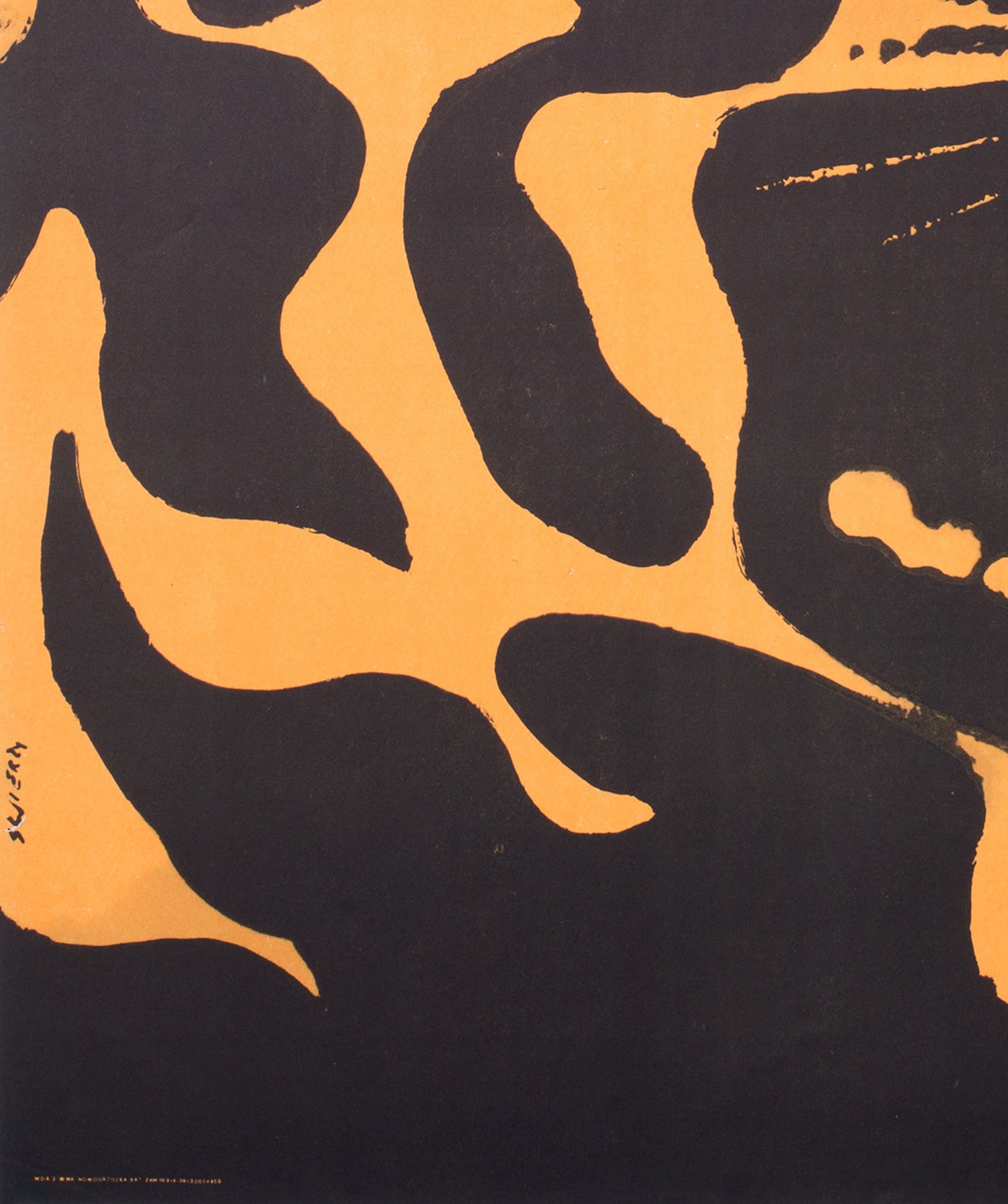 Tiger 1967 Polish Warsaw Zoo Poster, Waldemar Swierzy - detail