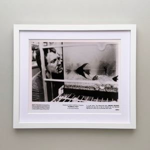 Rumble Fish 1983 Publicity Film Movie Press Still Framed