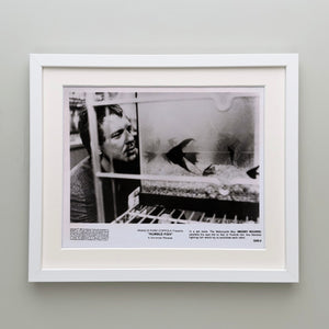 Rumble Fish 1983 Publicity Film Movie Press Still Framed