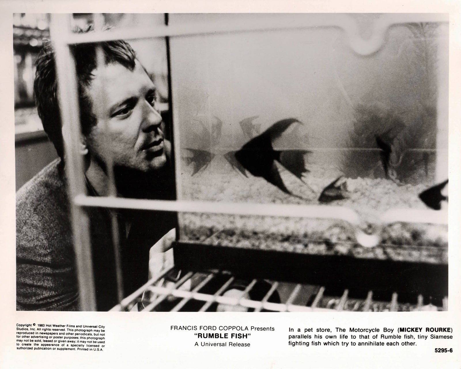 Rumble Fish 1983 Publicity Film Movie Press Still Framed