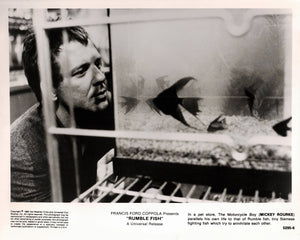 Rumble Fish 1983 Publicity Film Movie Press Still Framed