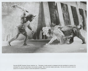 Sinbad and the Eye of the Tiger 1977 Film Movie Press Publicity Still Framed