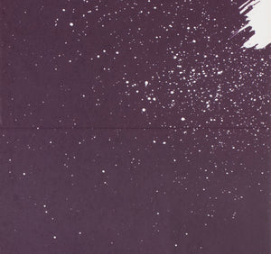 The Color Purple 1987 East German A1 Film Poster Manfred Anker - detail