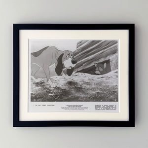 The Fox and the Hound 1981 Film Movie Press Publicity Still Framed