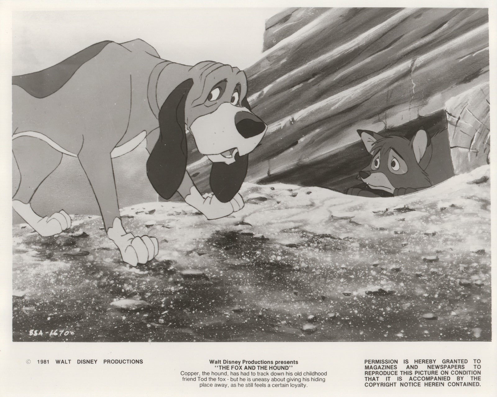 The Fox and the Hound 1981 Film Movie Press Publicity Still Framed