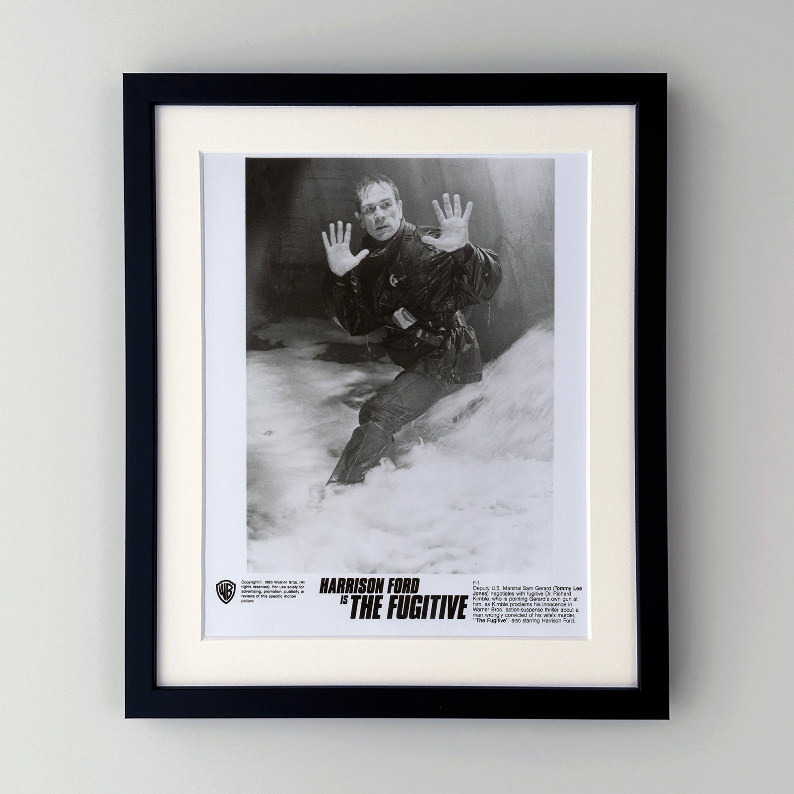 The Fugative 1993 Film Movie Press Publicity Still Framed