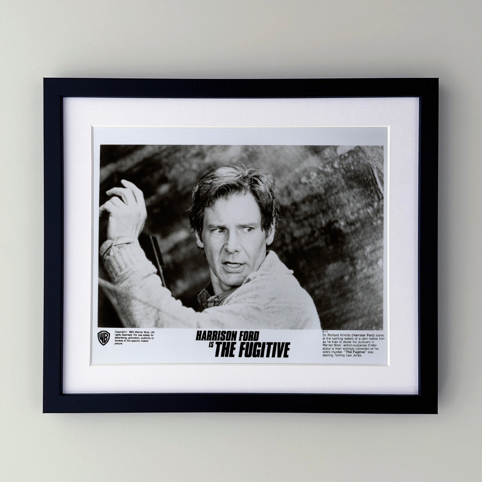 The Fugitive 1993 Film Movie Press Publicity Still Framed