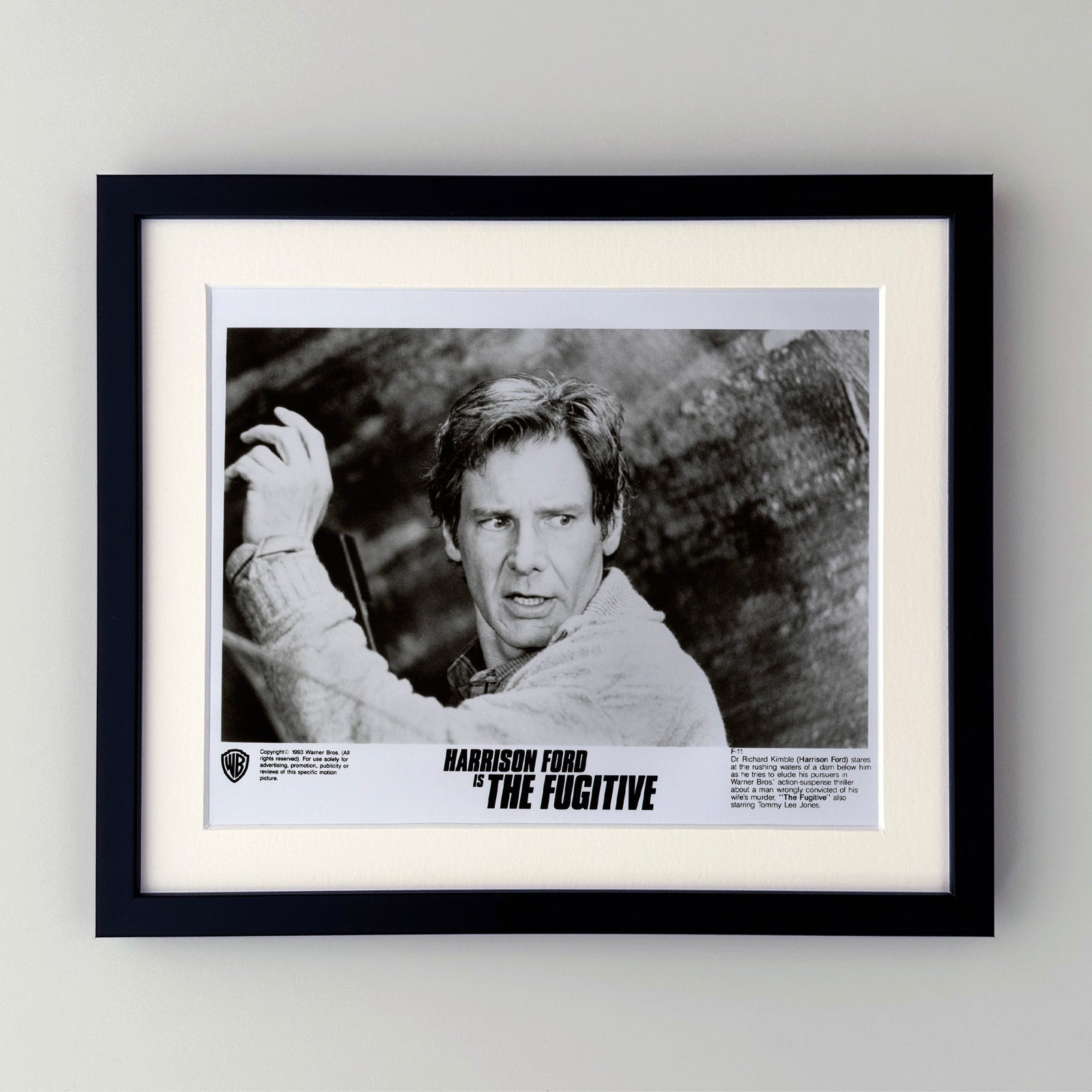 The Fugitive 1993 Film Movie Press Publicity Still Framed