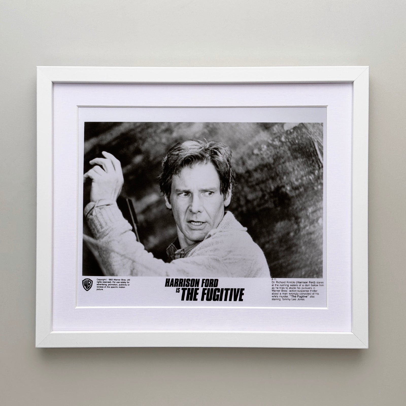 The Fugitive 1993 Film Movie Press Publicity Still Framed