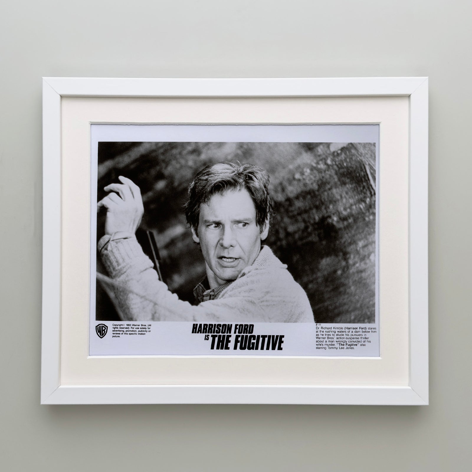 The Fugitive 1993 Film Movie Press Publicity Still Framed