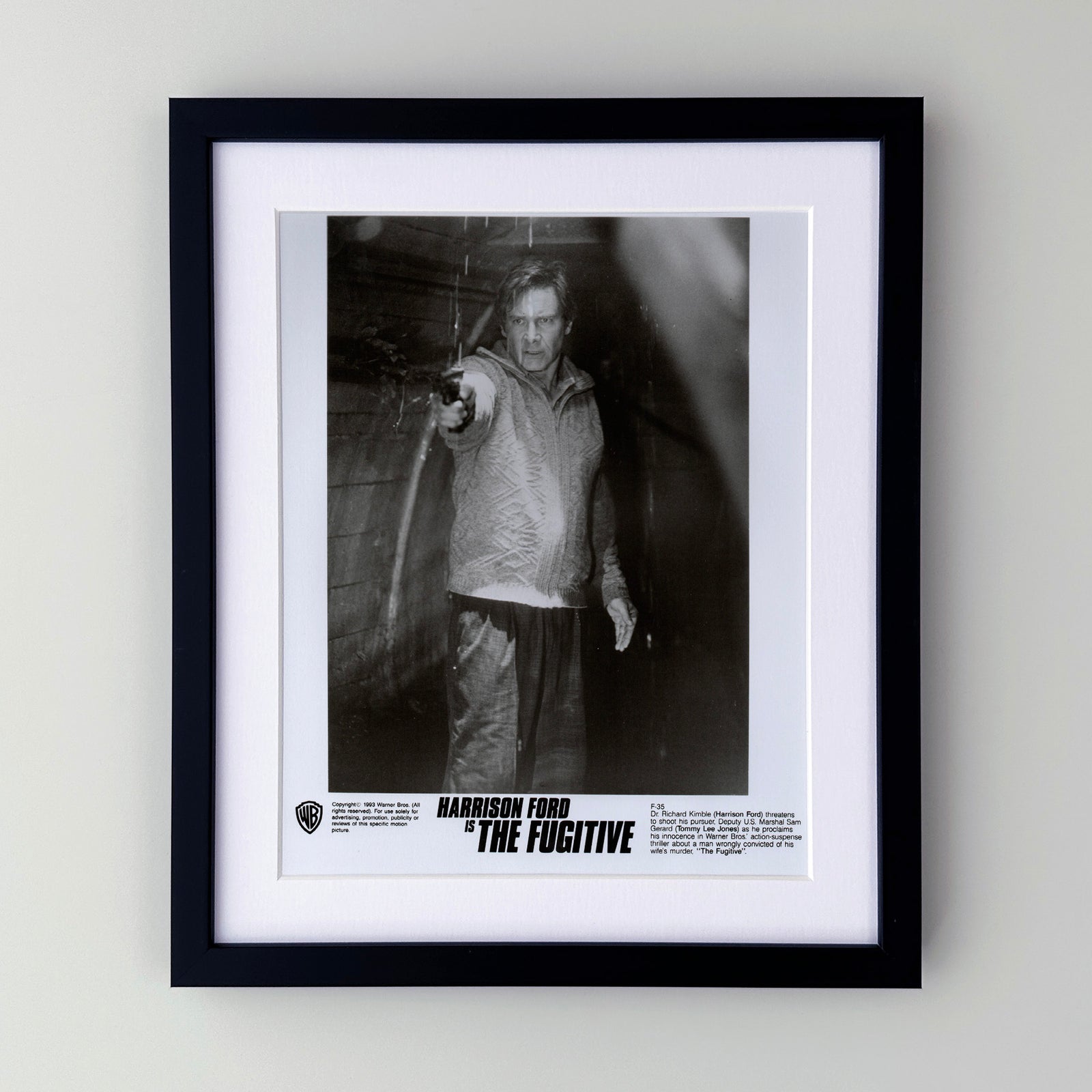 The Fugitive 1993 Film Movie Press Publicity Still Framed