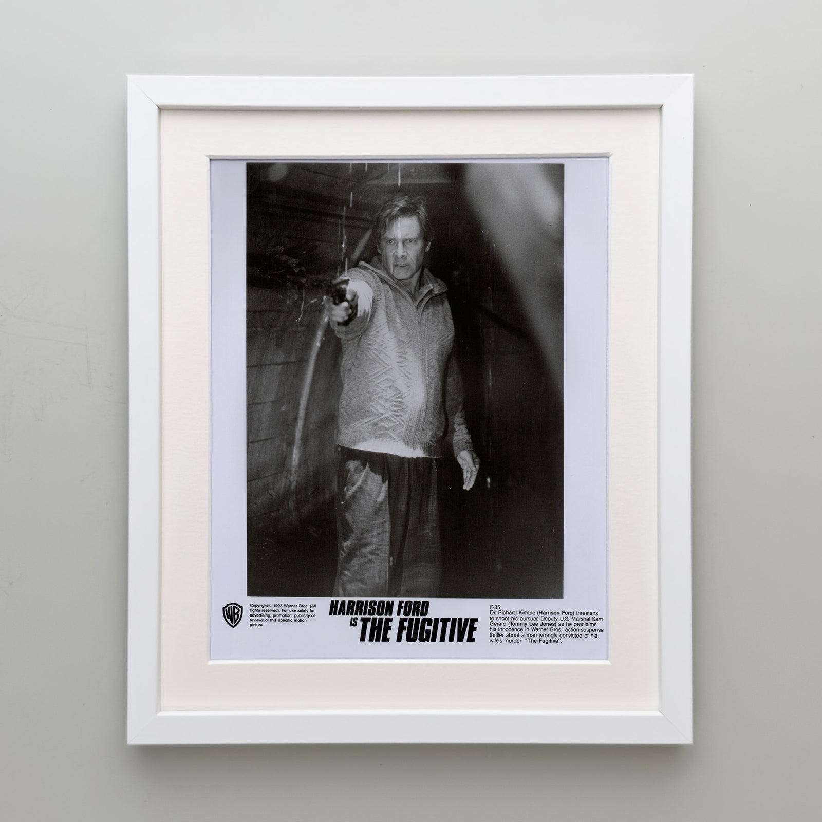 The Fugitive 1993 Film Movie Press Publicity Still Framed