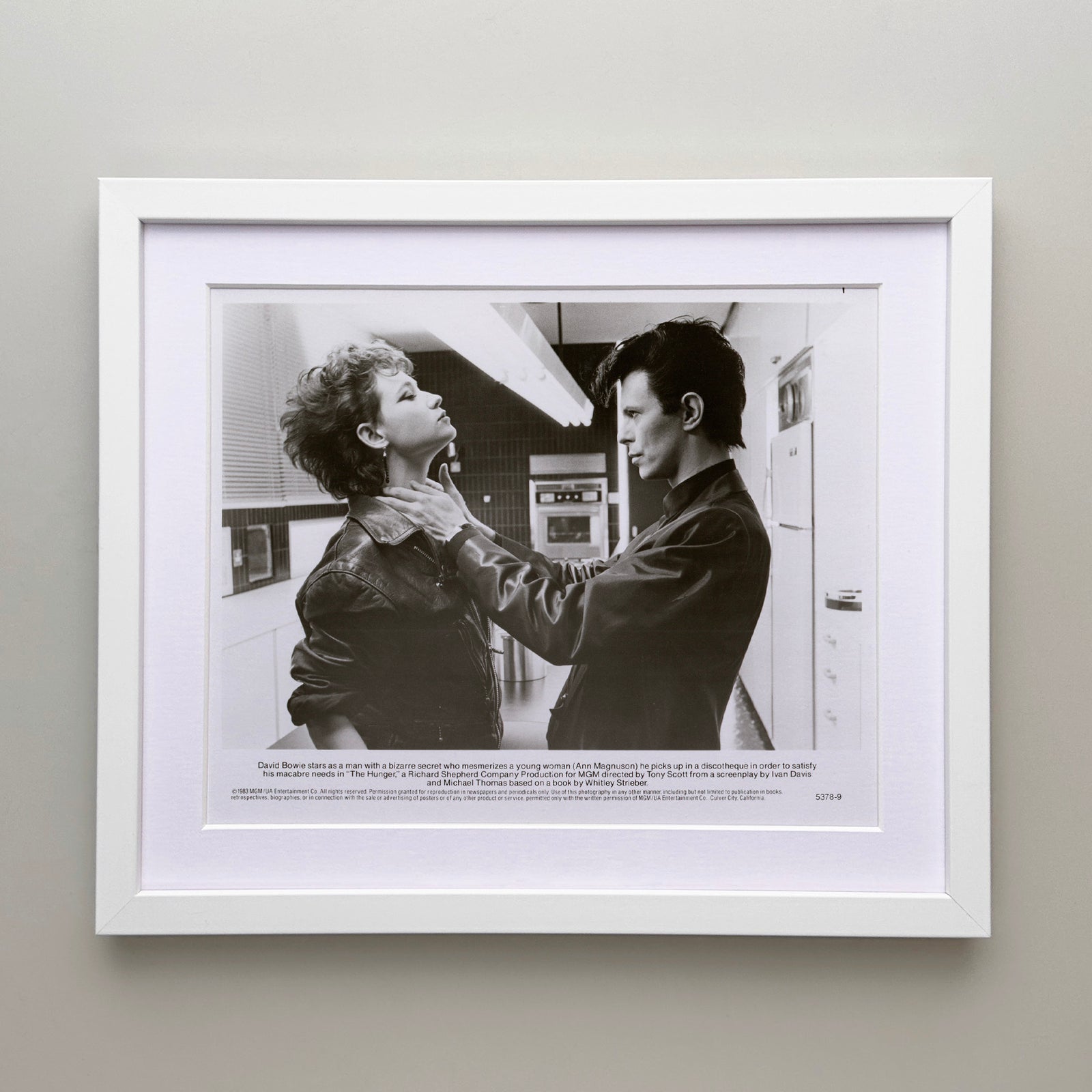 The Hunger 1983 Film Movie Press Publicity Still Framed