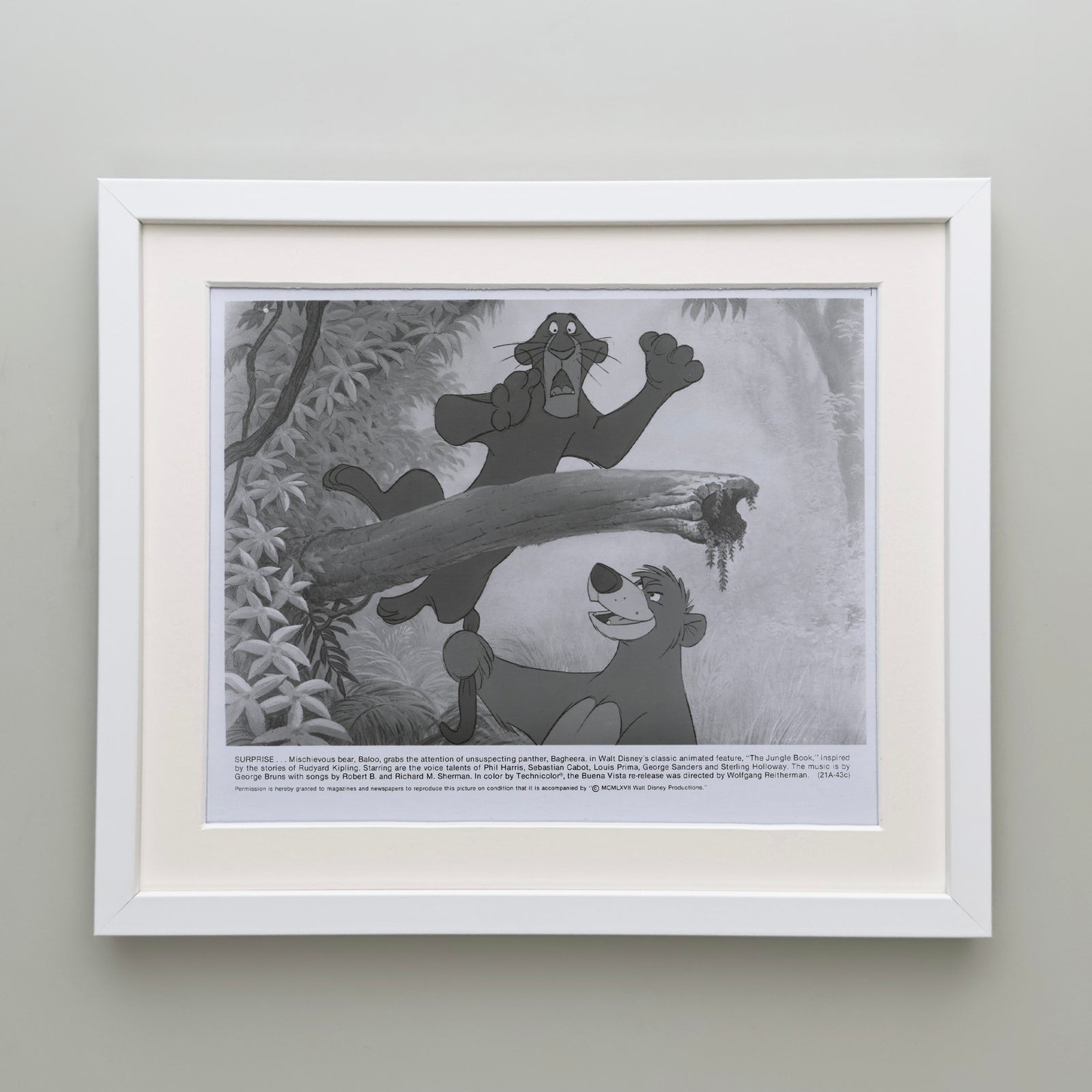 The Jungle Book 1967 Film Movie Press Publicity Still Framed