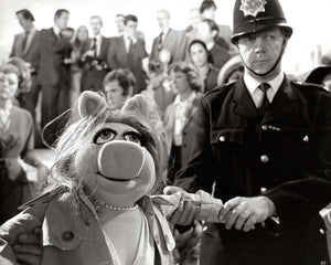 The Muppet Movie 1979 Publicity Film Movie Press Still Framed