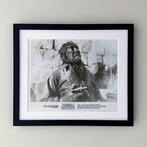 The Werewolf Versus the Vampire Woman 1971 Film Movie Press Publicity Still Framed