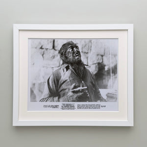 The Werewolf Versus the Vampire Woman 1971 Film Movie Press Publicity Still Framed