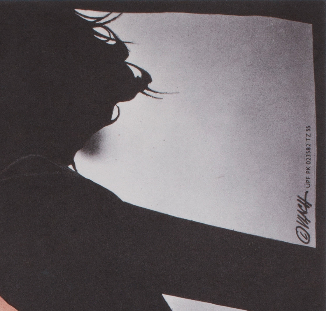 the witches of eastwick 1989 czech a3 film movie poster zdenek vlach - detail