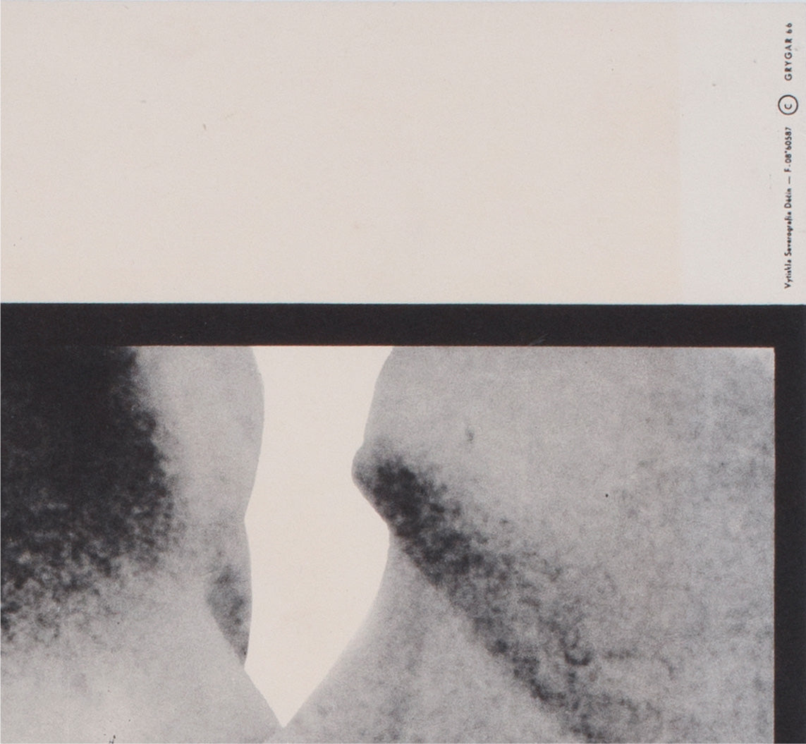 un homme et une femme 1966 czech a3 film movie poster milan grygar - detail