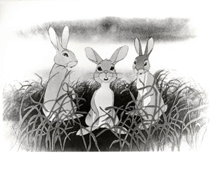 Watership Down 1978 Publicity Film Movie Press Still Framed