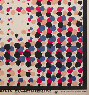 Blow-Up R1987 Polish B1 Film Poster, Swierzy - detail