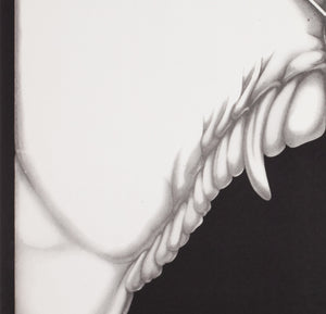 Christine 1985 Polish B1 Film Poster, Jakub Erol