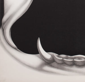 Christine 1985 Polish B1 Film Poster, Jakub Erol