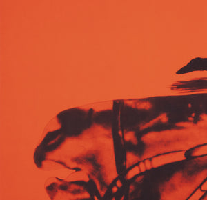 Cyrk Dancer With Horse 1965 Polish Circus Poster, Danuta Zukowska - detail