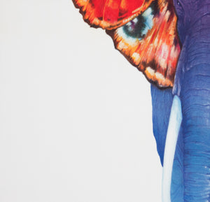 Cyrk Elephant Butterfly 1979 Polish Circus Poster, Pagowski - detail