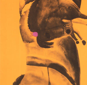 Cyrk Horse Trainer 1966 Polish Circus Poster, Danuta Zukowska - detail