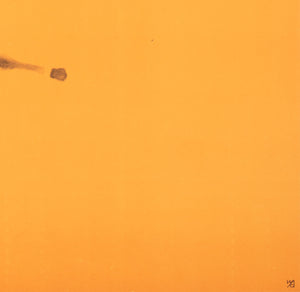 Cyrk Horse Trainer 1966 Polish Circus Poster, Danuta Zukowska - detail