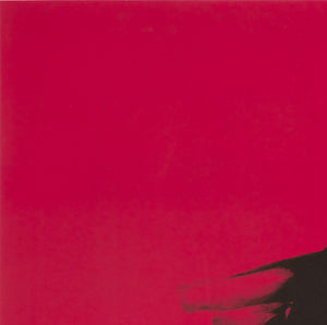 Cyrk Ringmaster Horse 1970s Polish Circus Poster, Waldemar Swierzy - detail