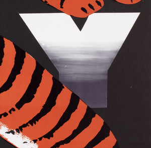Cyrk Two Tigers R1979 Polish Circus Poster, Gorka - detail