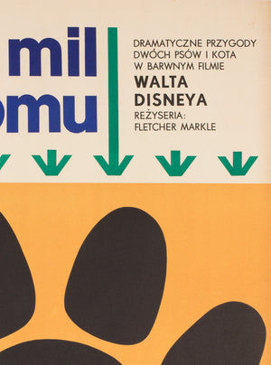 The Incredible Journey 1966 Polish A1 Film Poster, Onegin-Dabrowski - detail