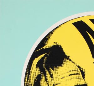 Planet of the Apes 1968 Danish Film Movie Poster - detail